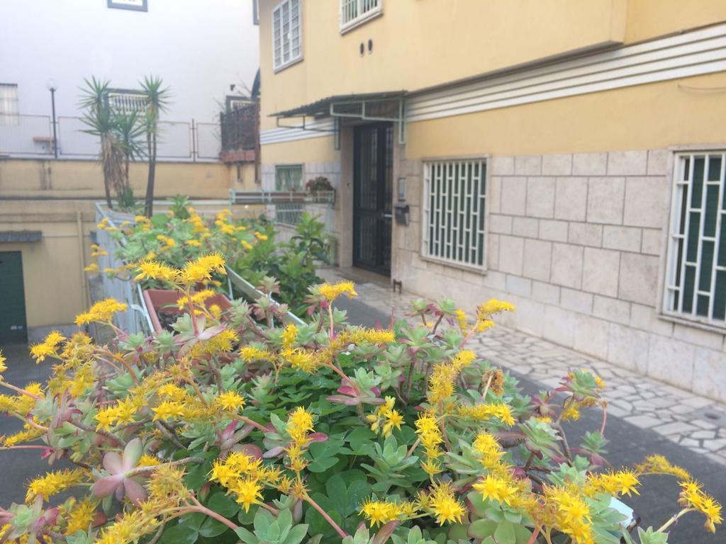 Casa Amelia Appartement